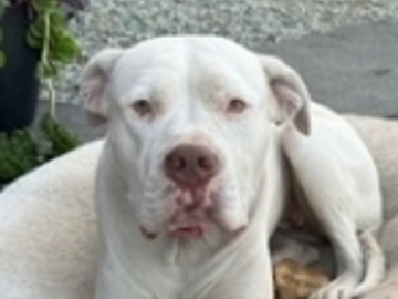   : Lola 