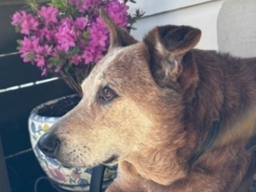   : Jake