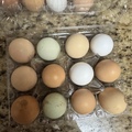 Selling with In-person Payment: Chicken Eggs (Phoenix,AZ)