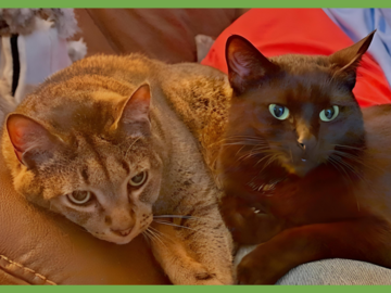   : Danny and Lilbit