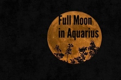 Selling: Full Moon:  Love Reiki to Soften His Energy ❤️