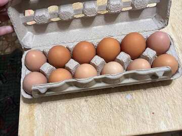 Selling with In-person Payment: Farm fresh all organically produced (Warners, NY) 