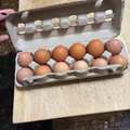 Selling with In-person Payment: Farm fresh all organically produced (Warners, NY) 
