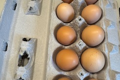 Selling with In-person Payment: Farm Fresh Chicken Eggs (Brighton, CO)