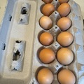 Selling with In-person Payment: Farm Fresh Chicken Eggs (Brighton, CO)