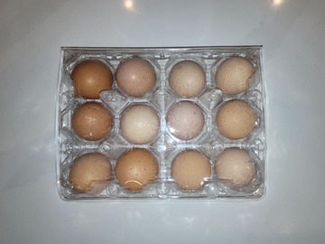 Selling with In-person Payment: FRESH EGGS FREE RANGE LOVED FED OMEGA RICH DIET