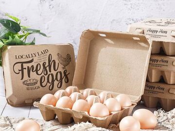 Selling with In-person Payment: Farm fresh free range chicken eggs (Delray Beach, FL)