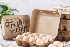 Selling with In-person Payment: Farm fresh free range chicken eggs (Delray Beach, FL)