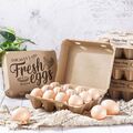 Selling with In-person Payment: Farm fresh free range chicken eggs (Delray Beach, FL)