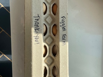 Selling with In-person Payment: Figglet Farm Eggs (Mocksville, NC)