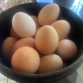 Selling with online payment: Fresh Chicken Eggs (Santa Maria, CA)
