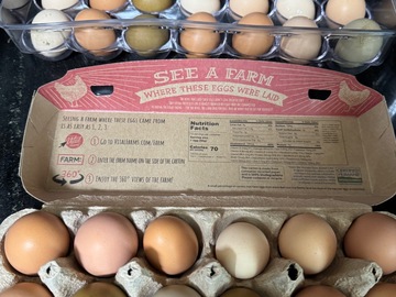 Selling with In-person Payment: Farm fresh chicken eggs (Madisonville, TN)