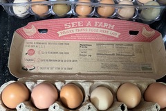 Selling with In-person Payment: Farm fresh chicken eggs (Madisonville, TN)