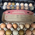 Selling with In-person Payment: Farm fresh chicken eggs (Madisonville, TN)