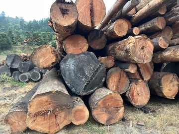 Selling: Doug Fir CZU Fire salvage logs truck Loads