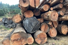 Selling: Doug Fir CZU Fire salvage logs truck Loads