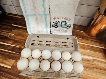 Selling with In-person Payment: Free Range Colorful chicken eggs by dozen