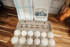 Selling with In-person Payment: Duck eggs 