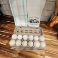 Selling with In-person Payment: Duck eggs 