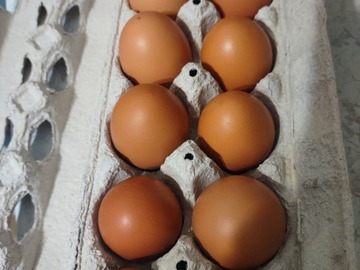 Selling with In-person Payment: Brown free range chicken eggs for sale