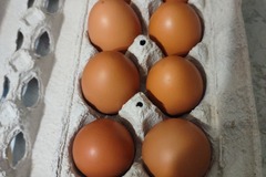 Selling with In-person Payment: Brown free range chicken eggs for sale