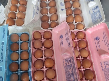 Selling with In-person Payment: Farm fresh eggs