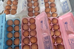 Selling with In-person Payment: Farm fresh eggs