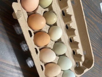 Selling with online payment: Fresh, free range chicken eggs from pampered chickens, variety of