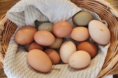 Selling with In-person Payment: Fresh, free range chicken eggs