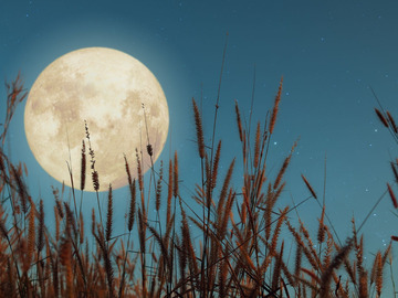 Selling: SEPTEMBER 2025 FULL MOON POWER SPELL; Powerful Premium Spell Cast
