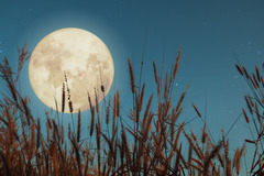 Selling: SEPTEMBER 2025 FULL MOON POWER SPELL; Powerful Premium Spell Cast