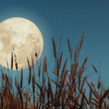 Selling: SEPTEMBER 2025 FULL MOON POWER SPELL; Powerful Premium Spell Cast