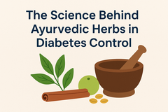 Skills: Ayurvedic Medicine for Diabetes