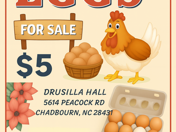 Selling with In-person Payment: Dru’s farm fresh eggs 