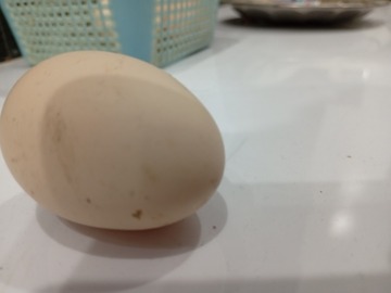 Selling with online payment: Golden buff hen egg for sale 220 each