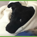  : Luna