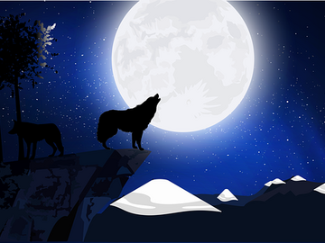 Selling: Manifest Love, Career & Peace......New Moon Spells