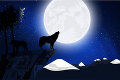 Selling: Manifest Love, Career & Peace......New Moon Spells