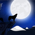 Selling: Manifest Love, Career & Peace......New Moon Spells