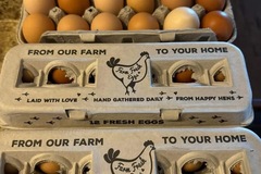 Selling with In-person Payment: Farm Fresh Free Range Chicken Eggs