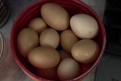 Selling with online payment: Fresh farm chicken eggs