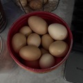 Selling with online payment: Fresh farm chicken eggs