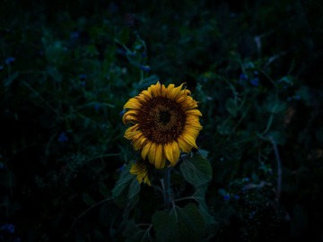 Wellness Session Single: Grief Care for Chronic Illness, Chronic Pain & Disability w/ Jenn