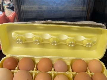 Selling with In-person Payment: Farm Fresh Eggs