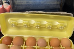 Selling with In-person Payment: Farm Fresh Eggs