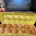 Selling with In-person Payment: Farm Fresh Eggs