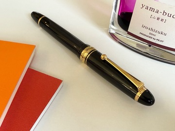 Renting out: Pilot Custom 823 (F)