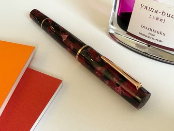 Renting out: TWSBI Draco (EF)