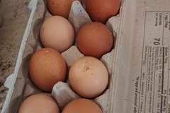 Selling with In-person Payment: Farm Eggs (Powder Springs Area)