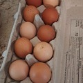 Selling with In-person Payment: Farm Eggs (Powder Springs Area)